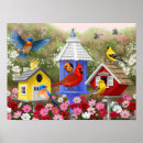 Search for birdhouse posters Birds