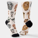 Search for animal socks Pattern