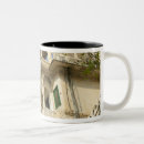 Search for rajasthan mugs City