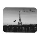 Search for eiffel tower magnets France