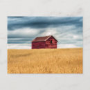 Search for great plain postcards Prairie