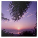 Search for caribbean tiles Silhouette