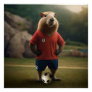 Search for funny soccer posters Player