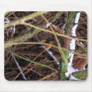 Search for blizzard electronics Bird