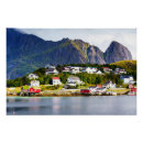 Search for reining posters Lofoten