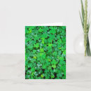 Search for detail note cards Green