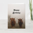 Search for highland cow birthday cards Cows