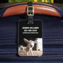 Search for cutest accessories Lamb