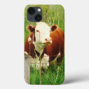 Search for cuddlies cases For her