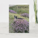 Search for collie birthday cards Happy