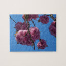 Search for pink sky puzzles Flowers