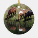 Search for equine christmas tree decorations Wild horses