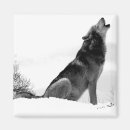 Search for alaskan magnets Nature