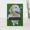 Search for golden retriever with cake Funny