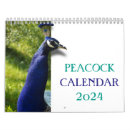Search for peacocks office supplies Nature
