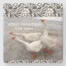 Search for beak coasters Animals