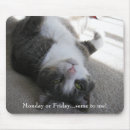 Search for sameness electronics Pets