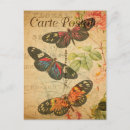 Search for vintage butterfly postcards Butterflies