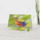 Search for bunting cards Bird