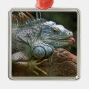 Search for iguana christmas tree decorations Cute