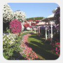 Search for miracle stickers Nature