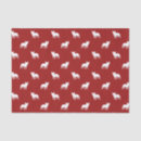 Search for french bulldog tissue paper Frenchie