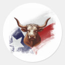 Search for made in texas stickers Star