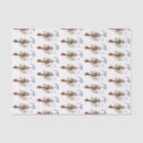 Search for chicken tissue paper Illustration