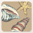 Search for shell coasters Nature