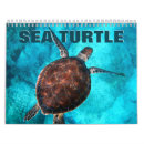 Search for sea turtle calendars Reptile