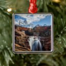 Search for south america christmas tree decorations Landscape