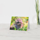 Search for baby note cards Animal