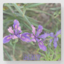 Search for iris coasters Blue
