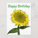 Search for happy birthday sunflower postcards Floral