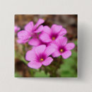 Search for fuchsia badges Floral