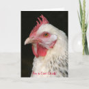 Search for cool chicken postcards Animal