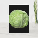 Search for cabbage cards Oleracea