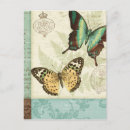 Search for bug collage postcards Blue