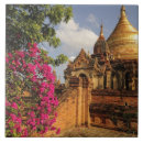 Search for exterior tiles Asia