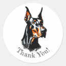 Search for doberman pinscher stickers Cute