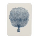 Search for indigo magnets Sealife