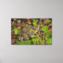 Search for alberta wildlife posters Rural scene