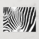 Search for keychain postcards Black