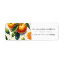 Search for organization return address labels Organic