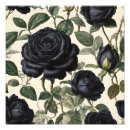 Search for vintage botany posters Roses