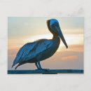 Search for alone photography Bird