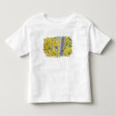 Search for colorado rocky mountain tshirts Usa
