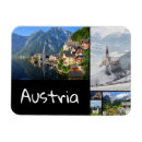 Search for landscape magnets Souvenir