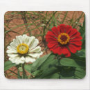 Search for zinnia mousepads Flowers