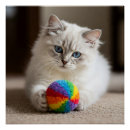 Search for whimsical design posters Cat lover